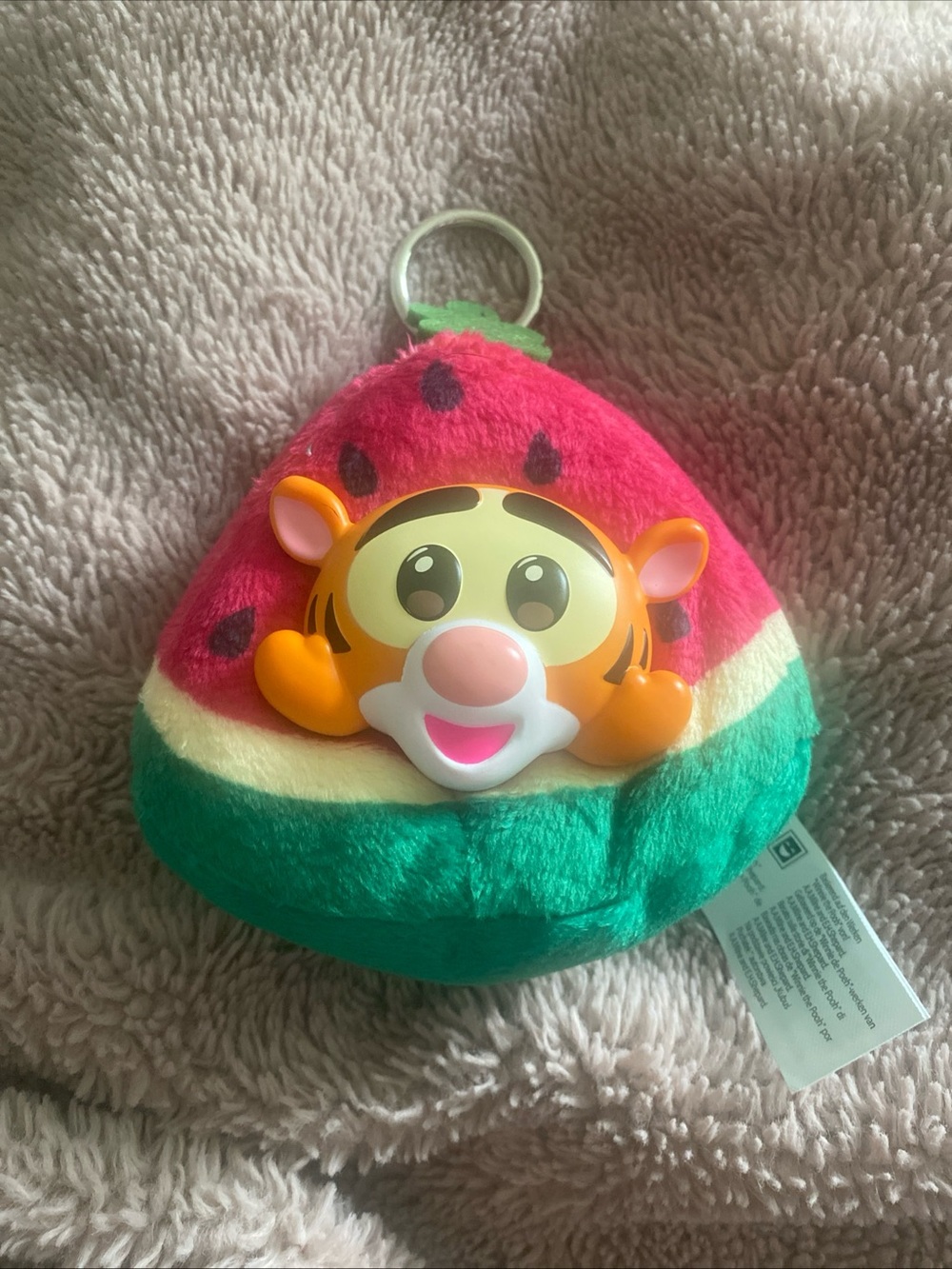 Disney Plush Tag Photo with Green Plush Edge